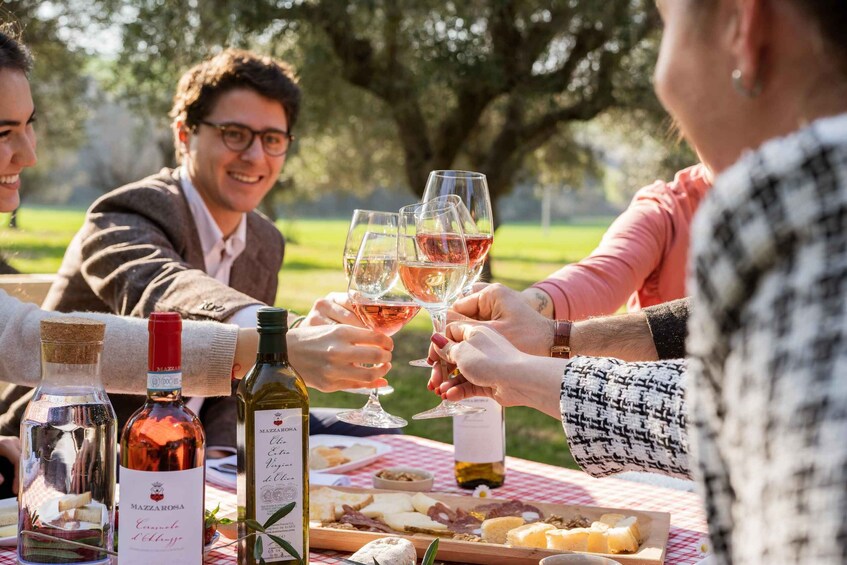 Picture 5 for Activity Abruzzo: Country Picnic in an Olive Grove at a Winery