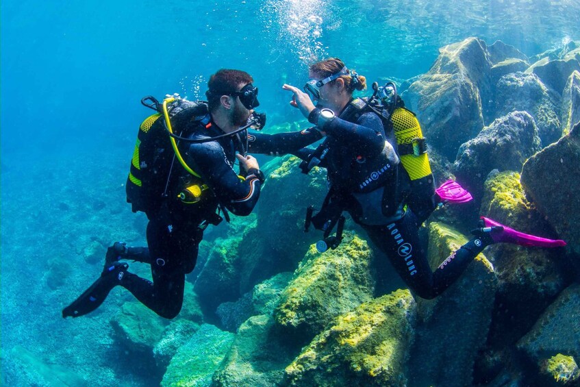 Picture 2 for Activity Tenerife: Introductory Dive for Cruise Ship Passengers