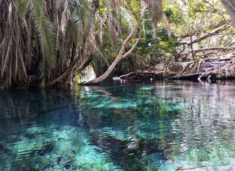 Picture 2 for Activity Moshi: Chemka Hot Springs Day Trip with Food and Water