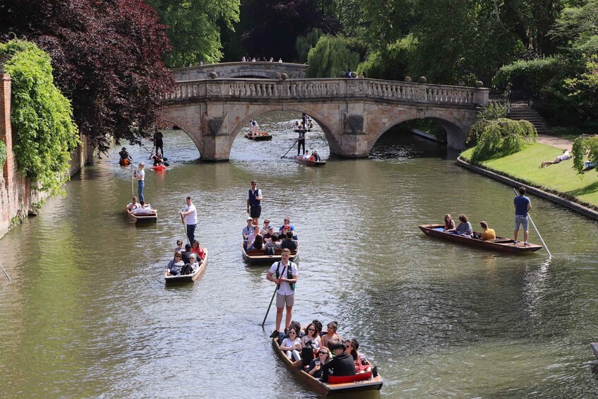 Picture 2 for Activity Cambridge: Private Chauffeured Punting Tour