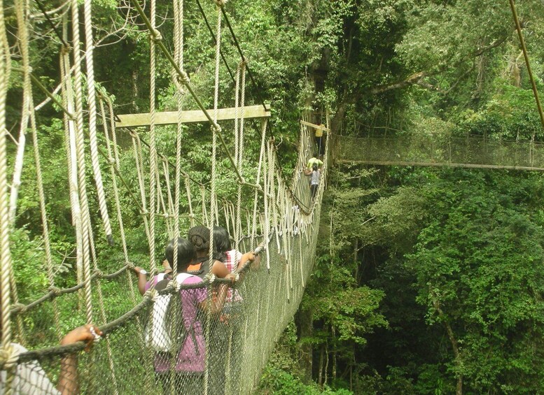 Picture 5 for Activity The Best of Cape Coast Tour with Lunch