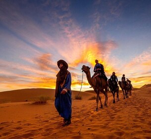 Doha: Half Day Desert Safari With Camel Ride & Sand Boarding