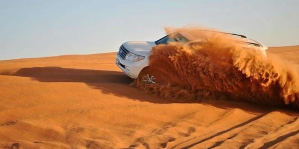 Picture 8 for Activity Doha: Half Day Desert Safari With Camel Ride & Sand Boarding