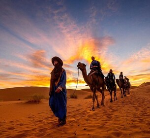 Doha: Half Day Desert Safari With Camel Ride & Sand Boarding