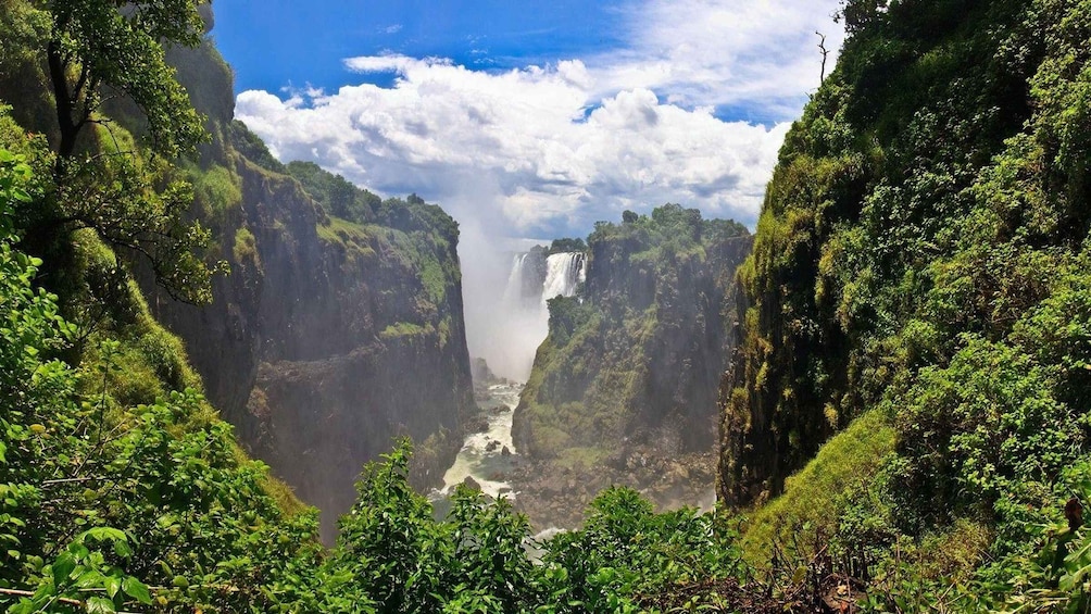 Picture 2 for Activity From Livingstone: Victoria Falls Day Trip