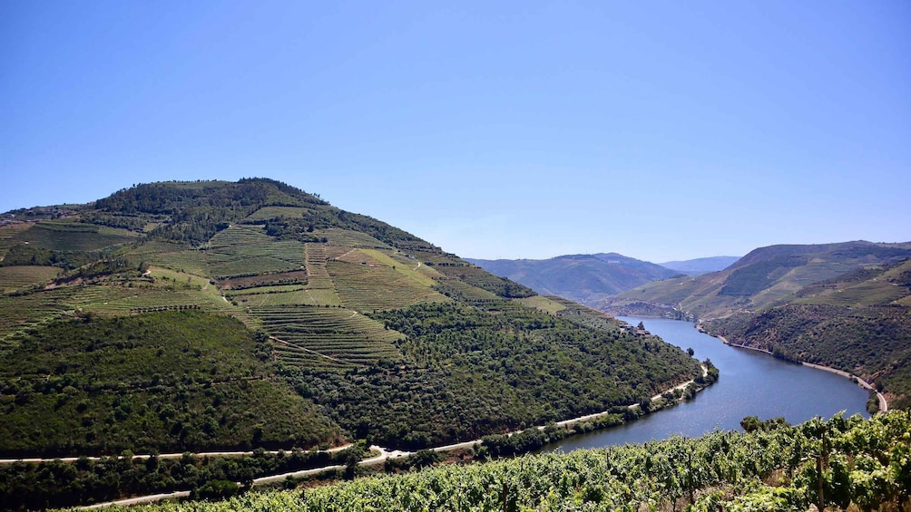 Picture 22 for Activity Porto: Private Tour Douro Valley/Winery SECXVIII /Boat/Lunch