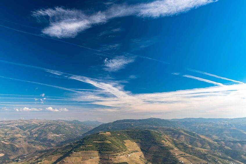 Picture 48 for Activity Porto: Private Tour Douro Valley/Winery SECXVIII /Boat/Lunch