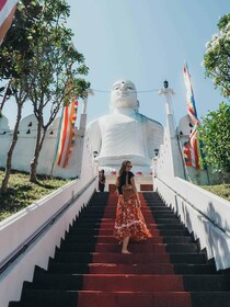 Colombo: Pinnawala Weeshuis, Kandy Tempel van de Tand dagtocht