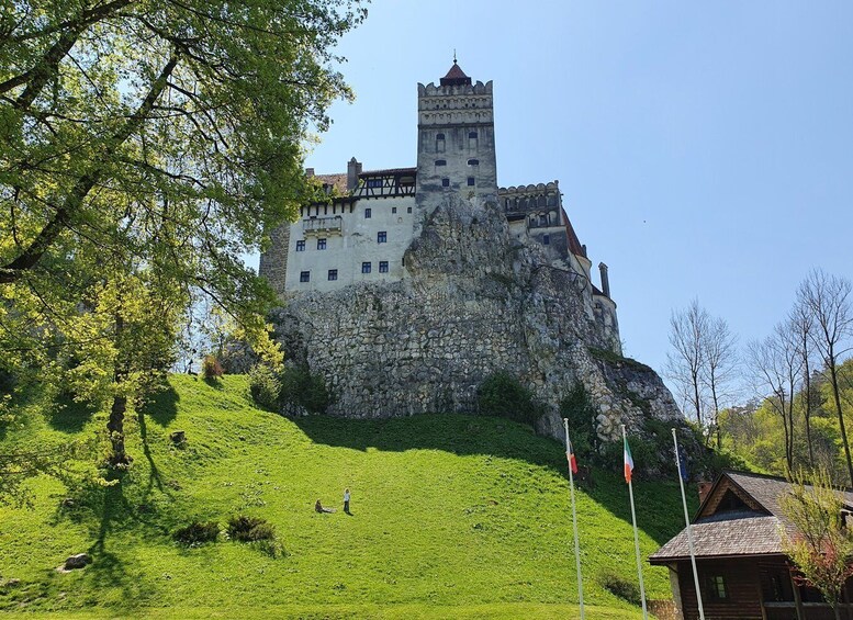 Picture 5 for Activity Bran Castle & Peles Castle - Premium Private Tour