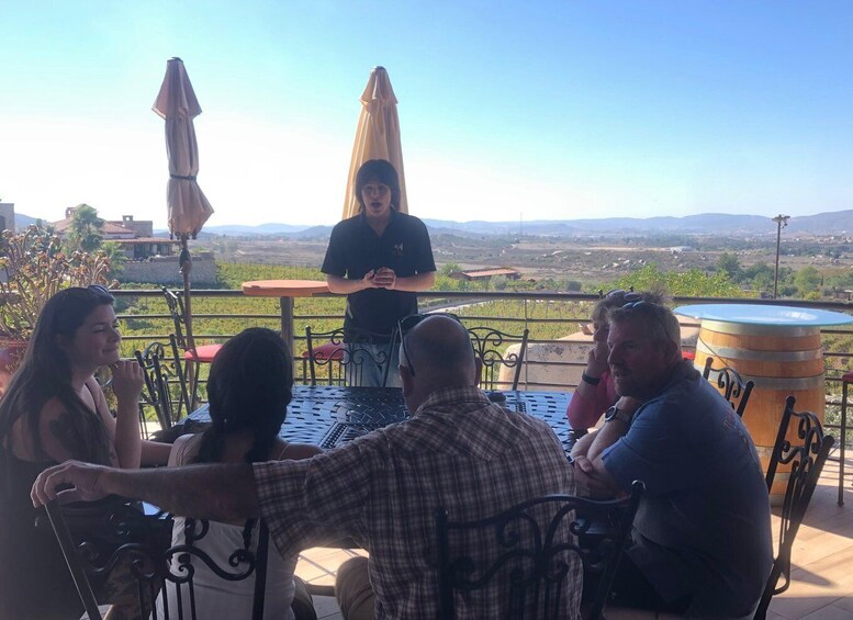 Picture 7 for Activity From Ensenada: Wine Tasting at Guadalupe Valley Ensenada