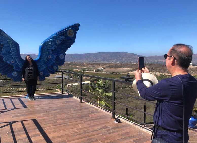 Picture 6 for Activity From Ensenada: Wine Tasting at Guadalupe Valley Ensenada