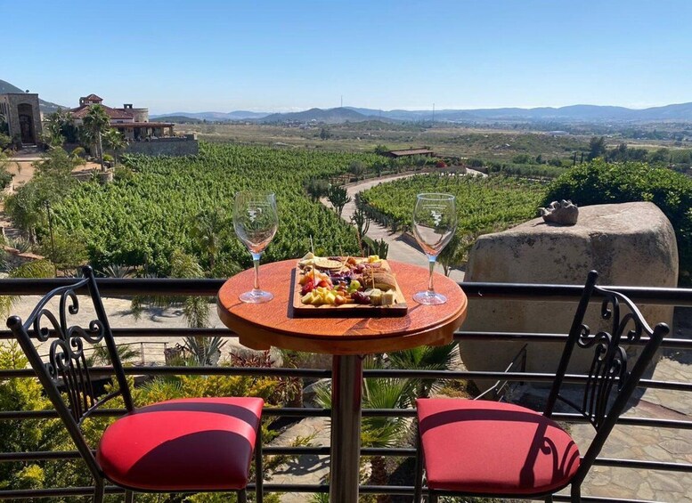 From Ensenada: Wine Tasting at Guadalupe Valley Ensenada