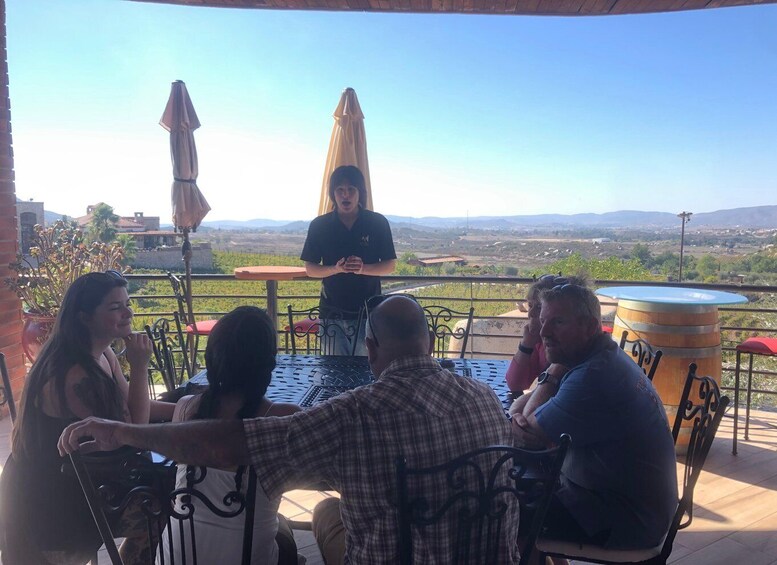 Picture 7 for Activity From Ensenada: Wine Tasting at Guadalupe Valley Ensenada