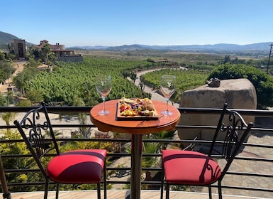 From Ensenada: Wine Tour at Guadalupe Valley Ensenada