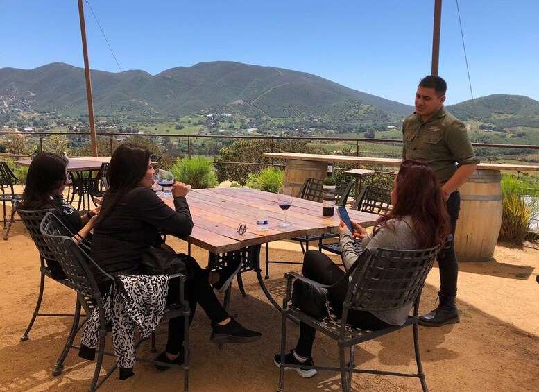 Picture 4 for Activity From Ensenada: Wine Tasting at Guadalupe Valley Ensenada