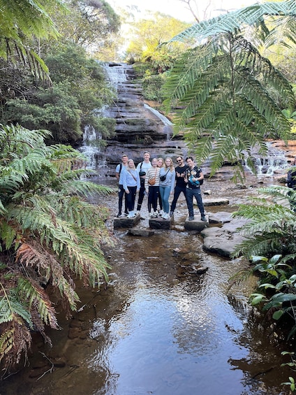 Picture 8 for Activity From Sydney: Blue Moutains and Featherdale Day Tour