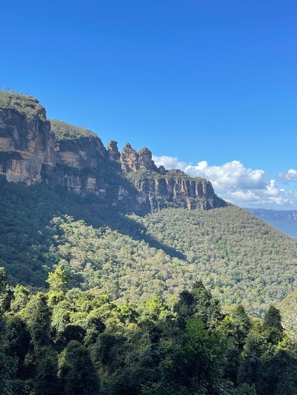 Picture 6 for Activity From Sydney: Blue Moutains and Featherdale Day Tour