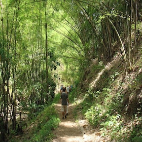 清邁：素貼山國家公園日遊覽和漂流