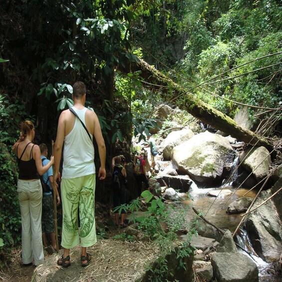 Picture 4 for Activity Chiang Mai: Doi Suthep-Pui National Park Day Tour & Rafting