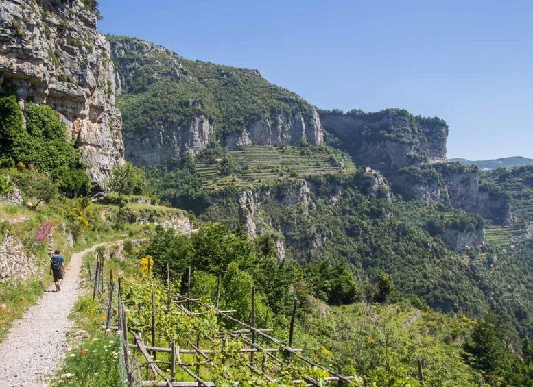 Picture 3 for Activity From Amalfi Coast: The Path of the Gods Hike tour