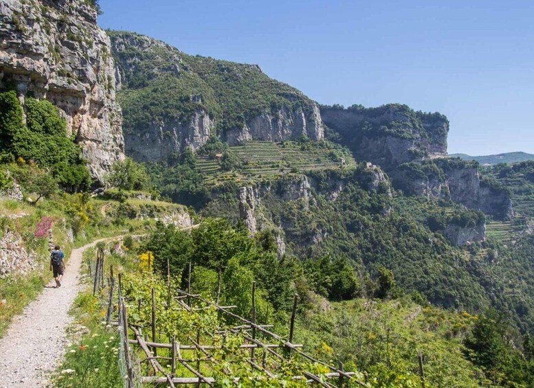 Picture 3 for Activity From Amalfi Coast: The Path of the Gods Hike tour