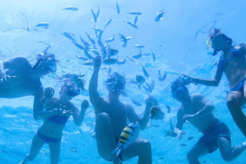 Picture 12 for Activity From Cala Figuera: Boat Tour to Cala Marmols & Caló de Moro