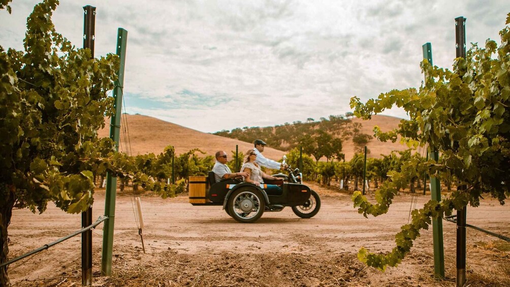 Picture 5 for Activity Paso Robles: Wine Country Sightseeing Tour by Sidecar