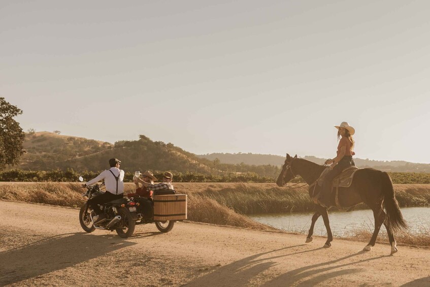 Picture 8 for Activity Paso Robles: Scenic Sidecar Vineyard Tour