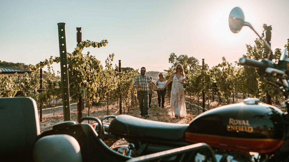 Picture 2 for Activity Paso Robles: Wine Country Sightseeing Tour by Sidecar