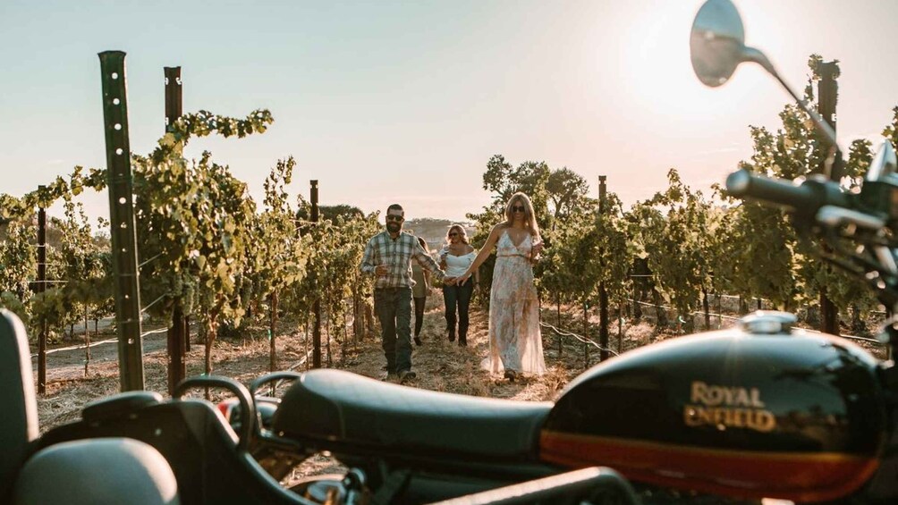 Picture 2 for Activity Paso Robles: Wine Country Sightseeing Tour by Sidecar