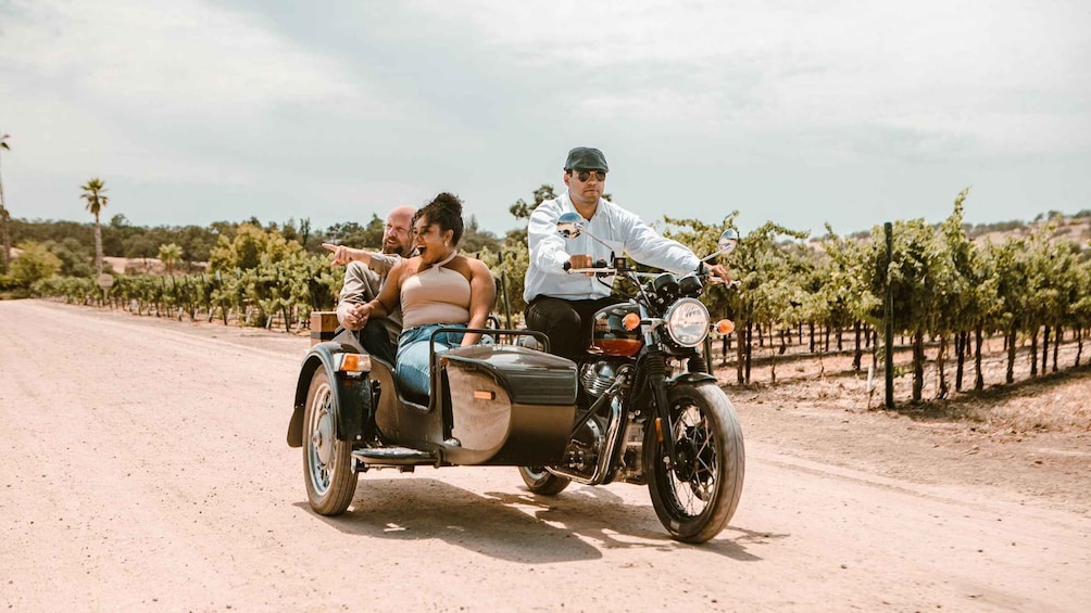 Picture 6 for Activity Paso Robles: Wine Country Sightseeing Tour by Sidecar