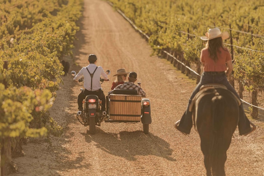 Picture 6 for Activity Paso Robles: Scenic Sidecar Vineyard Tour