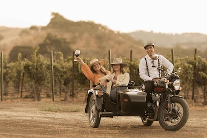 Paso Robles: Scenic Sidecar Vineyard Tour