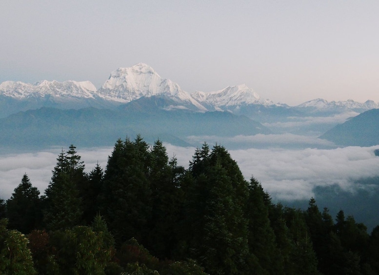 Picture 6 for Activity Pokhara: 3-Day Ghorepani and Poon Hill Trek