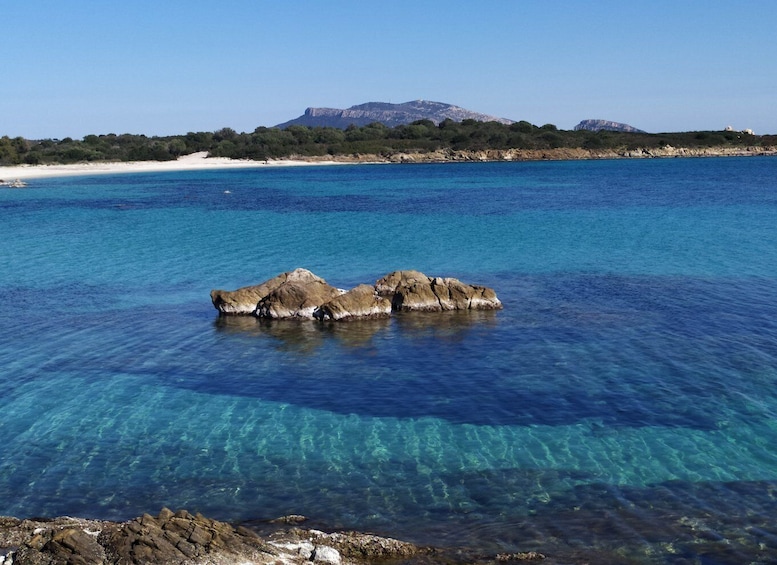 Picture 3 for Activity Sardinia: Tour Costa Smeralda in Minibus