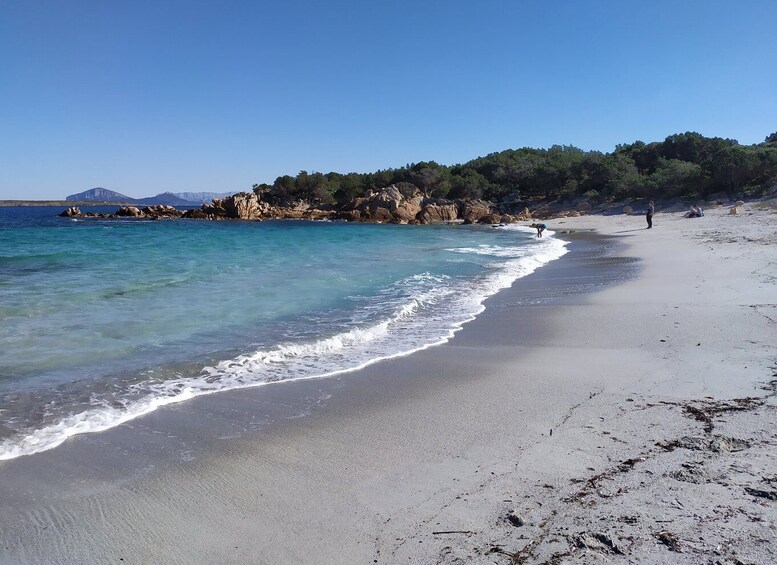 Picture 8 for Activity Sardinia: Tour Costa Smeralda in Minibus