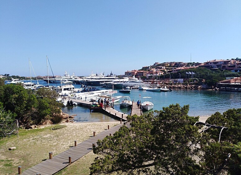 Picture 2 for Activity Sardinia: Tour Costa Smeralda in Minibus