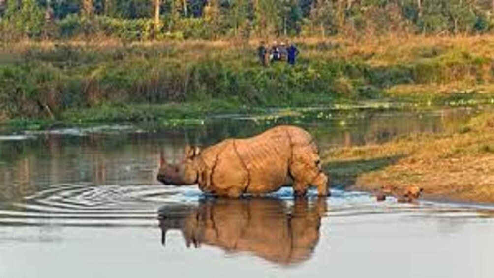 Picture 5 for Activity 2 N 3 Days Chitwan tour package from Pokhara or Kathmandu