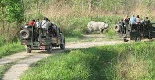 2 N 3 Days Chitwan tour package from Pokhara or Kathmandu