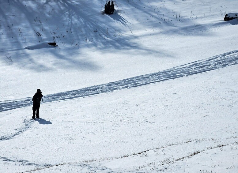 Picture 2 for Activity Snowshoeing in Bakuriani, Caucasus Mountains