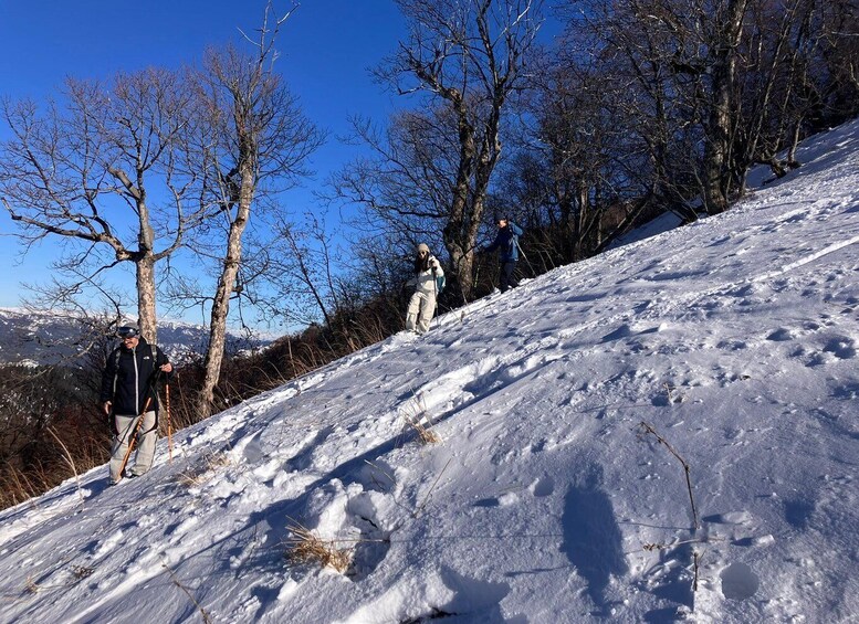 Picture 25 for Activity Snowshoeing in Bakuriani, Caucasus Mountains