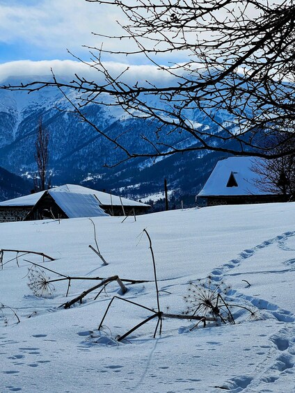 Snowshoeing in Bakuriani, Caucasus Mountains