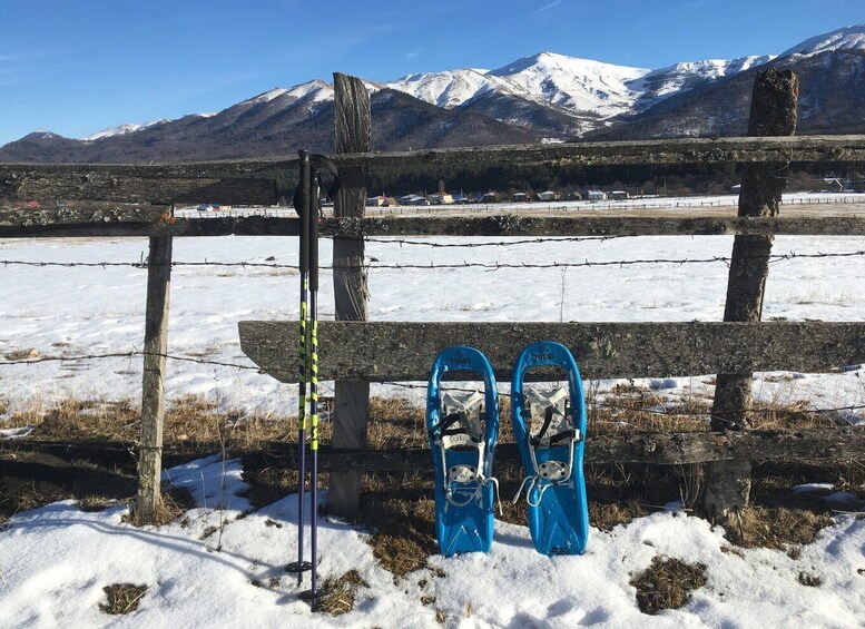 Picture 1 for Activity Snowshoeing in Bakuriani, Caucasus Mountains