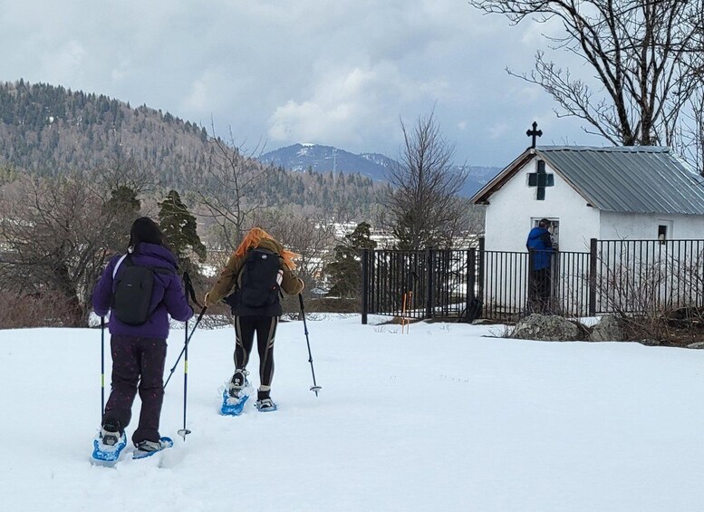 Picture 3 for Activity Snowshoeing in Bakuriani, Caucasus Mountains