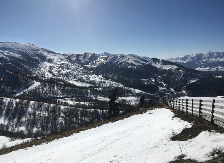 Picture 6 for Activity Snowshoeing in Bakuriani, Caucasus Mountains