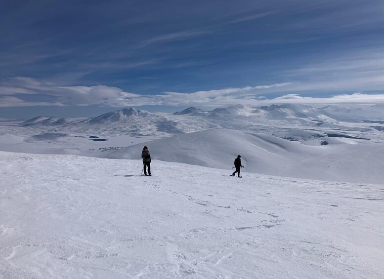 Picture 31 for Activity Snowshoeing in Bakuriani, Caucasus Mountains