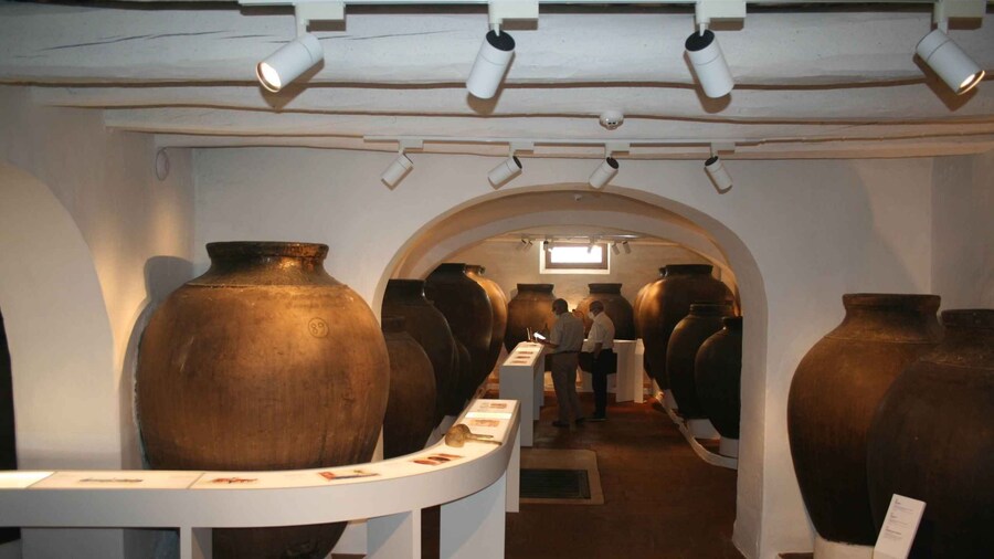 Picture 1 for Activity Borba: Winery Tour with Wine and Alentejo Products Tasting