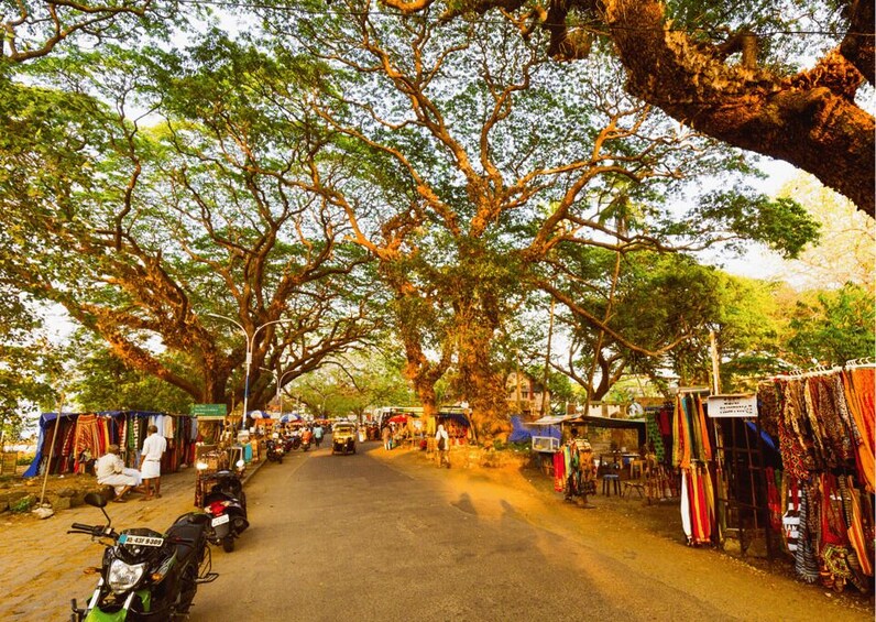 Picture 6 for Activity Alleppey Photography Guided Walk Tour with Tuk Tuk Ride