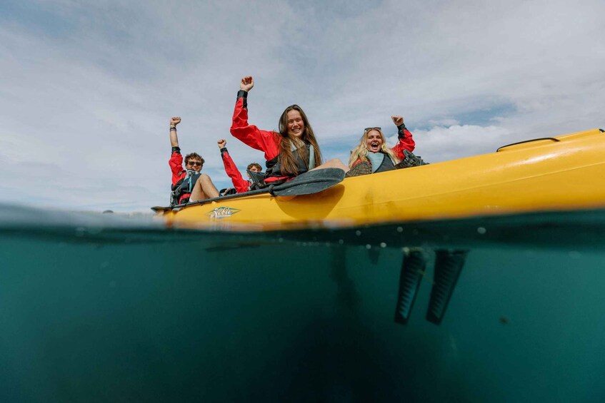 Picture 9 for Activity Kaikoura: Seal-Watching Pedal Kayak Tour