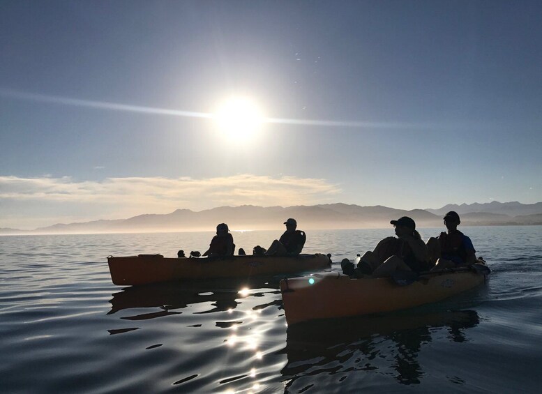 Picture 3 for Activity Kaikoura: Seal-Watching Pedal Kayak Tour